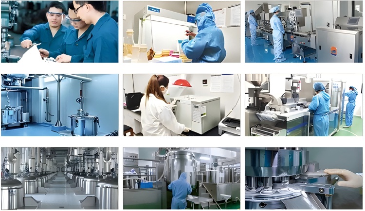 OEM Hot Sales Probiotics Chews For Pets Customized Shape - Image 7