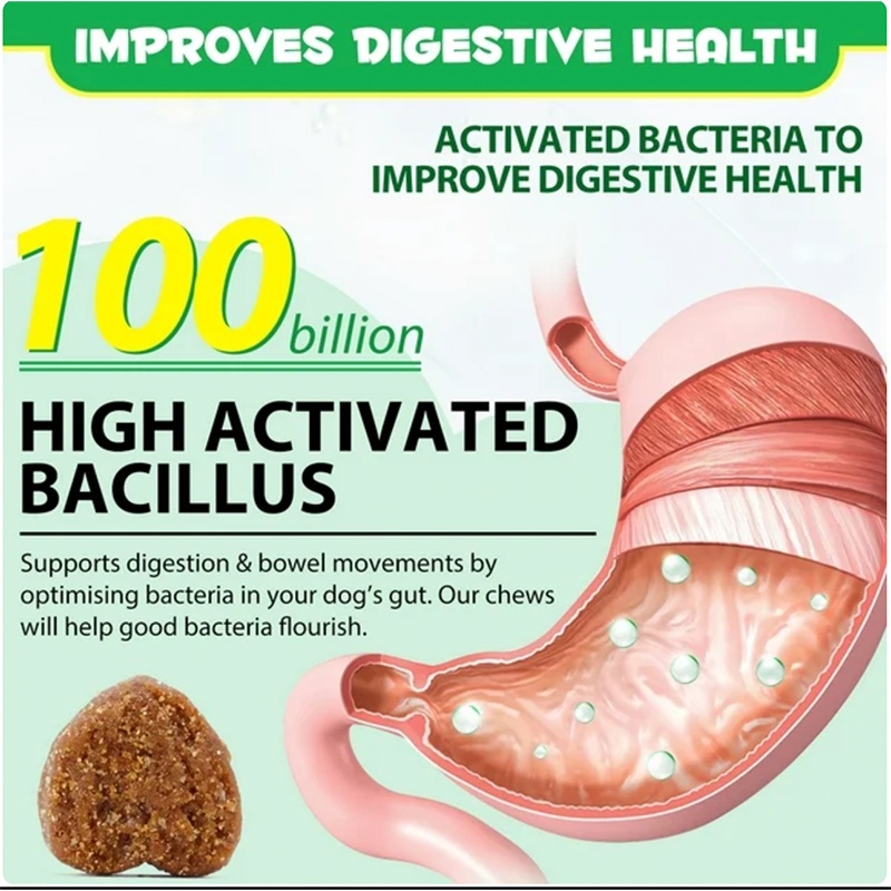 OEM Hot Sales Probiotics Chews For Pets Customized Shape - Image 5